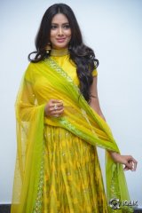 Pallavi Subhash At Naruda DONORuda Movie Audio Launch